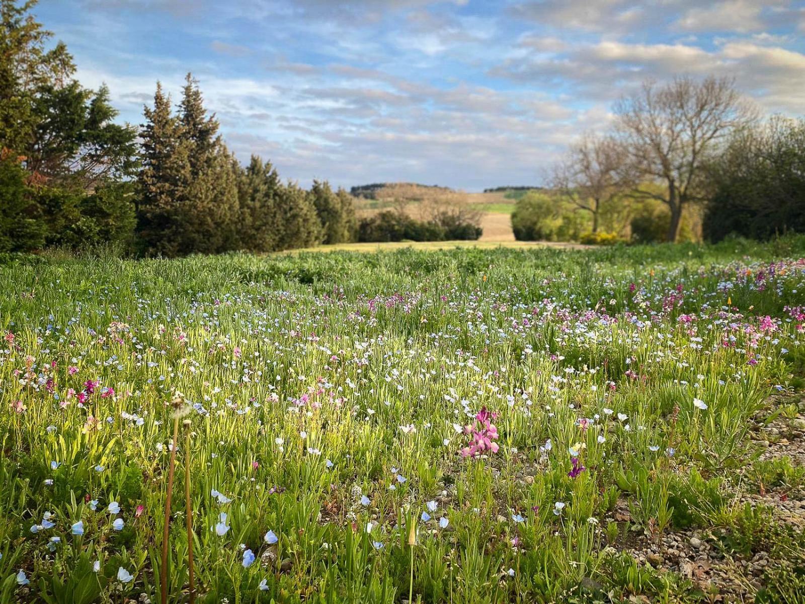 The East Wing - Carcassonne Villa Montreal  ภายนอก รูปภาพ